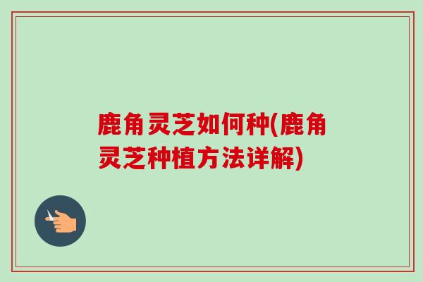 鹿角灵芝如何种(鹿角灵芝种植方法详解)-第1张图片-卓越灵芝孢子粉 鹿角灵芝如何种(鹿角灵芝种植方法详解)-第1张图片-卓越灵芝孢子粉