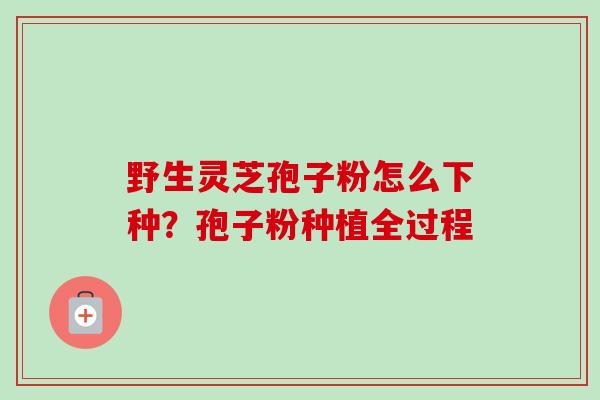 野生灵芝孢子粉怎么下种?孢子粉种植全过程-第1张图片-卓越灵芝孢子粉 野生灵芝孢子粉怎么下种?孢子粉种植全过程-第1张图片-卓越灵芝孢子粉