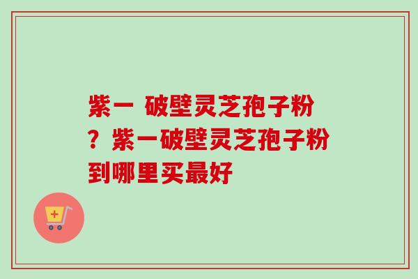 紫一 破壁灵芝孢子粉？紫一破壁灵芝孢子粉到哪里买最好-第1张图片-卓越灵芝孢子粉
