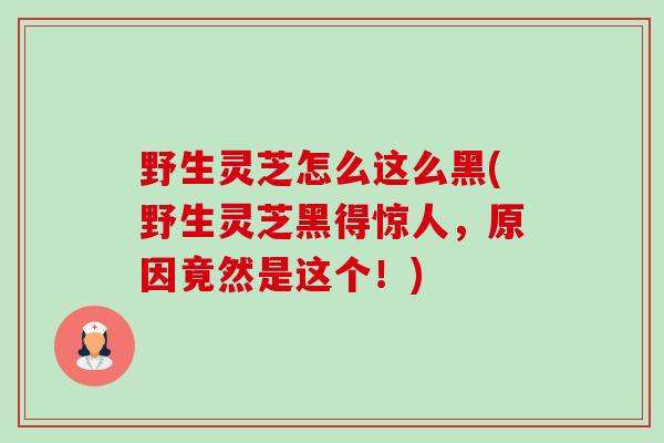 野生灵芝怎么这么黑(野生灵芝黑得惊人，原因竟然是这个！)-第1张图片-卓越灵芝孢子粉