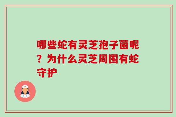 哪些蛇有灵芝孢子菌呢?为什么灵芝周围有蛇守护-第1张图片-卓越灵芝孢子粉 哪些蛇有灵芝孢子菌呢?为什么灵芝周围有蛇守护-第1张图片-卓越灵芝孢子粉