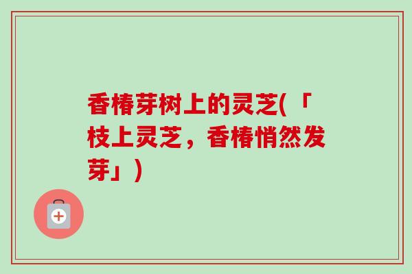 香椿芽树上的灵芝(「枝上灵芝，香椿悄然发芽」)-第1张图片-卓越灵芝孢子粉