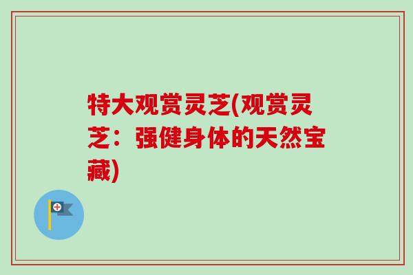 特大观赏灵芝(观赏灵芝：强健身体的天然宝藏)-第1张图片-卓越灵芝孢子粉