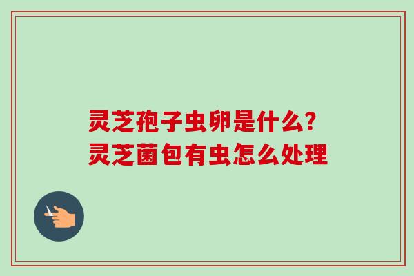 灵芝孢子虫卵是什么?灵芝菌包有虫怎么处理-第1张图片-卓越灵芝孢子粉 灵芝孢子虫卵是什么?灵芝菌包有虫怎么处理-第1张图片-卓越灵芝孢子粉