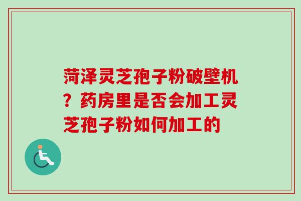 菏泽灵芝孢子粉破壁机？药房里是否会加工灵芝孢子粉如何加工的-第1张图片-卓越灵芝孢子粉