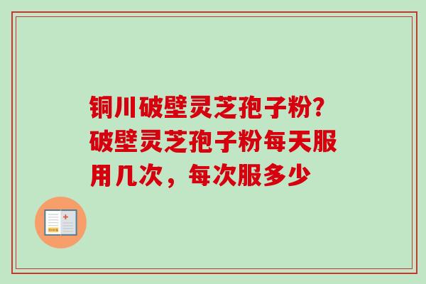 铜川破壁灵芝孢子粉？破壁灵芝孢子粉每天服用几次，每次服多少-第1张图片-卓越灵芝孢子粉