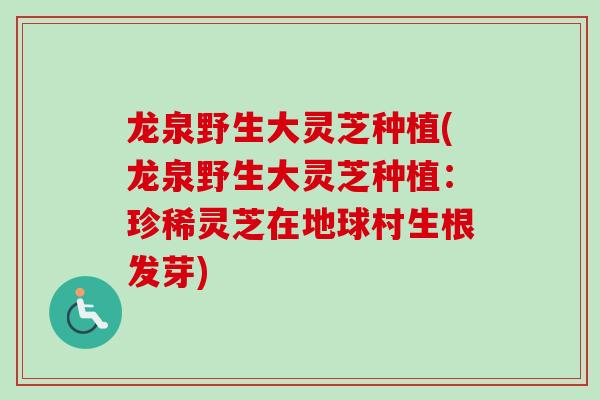 龙泉野生大灵芝种植(龙泉野生大灵芝种植:珍稀灵芝在地球村生根发芽)-第1张图片-卓越灵芝孢子粉 龙泉野生大灵芝种植(龙泉野生大灵芝种植:珍稀灵芝在地球村生根发芽)-第1张图片-卓越灵芝孢子粉