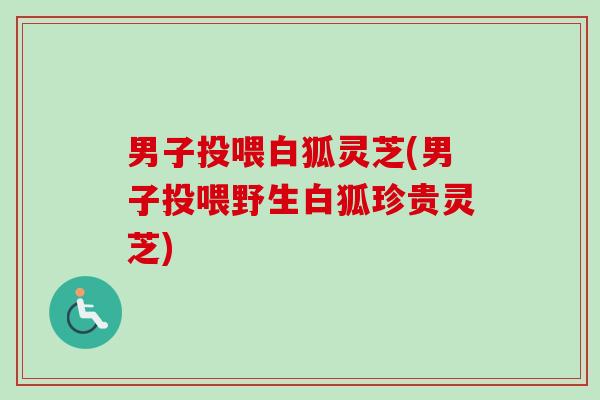 男子投喂白狐灵芝(男子投喂野生白狐珍贵灵芝)-第1张图片-卓越灵芝孢子粉