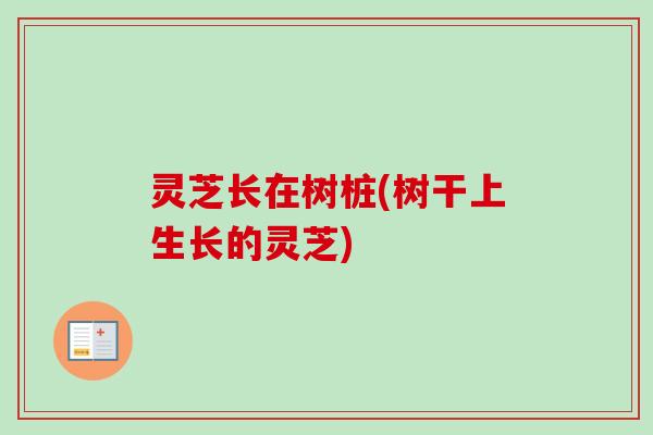 灵芝长在树桩(树干上生长的灵芝)-第1张图片-卓越灵芝孢子粉