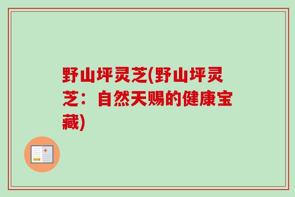 野山坪灵芝(野山坪灵芝：自然天赐的健康宝藏)-第1张图片-卓越灵芝孢子粉