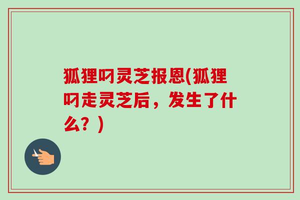 狐狸叼灵芝报恩(狐狸叼走灵芝后,发生了什么?)-第1张图片-卓越灵芝孢子粉 狐狸叼灵芝报恩(狐狸叼走灵芝后,发生了什么?)-第1张图片-卓越灵芝孢子粉
