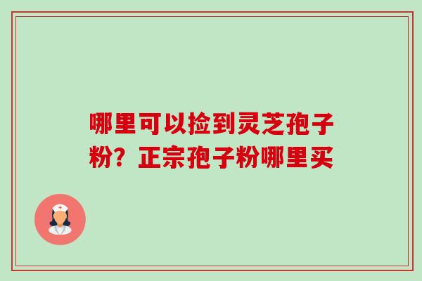 哪里可以捡到灵芝孢子粉?正宗孢子粉哪里买-第1张图片-卓越灵芝孢子粉 哪里可以捡到灵芝孢子粉?正宗孢子粉哪里买-第1张图片-卓越灵芝孢子粉