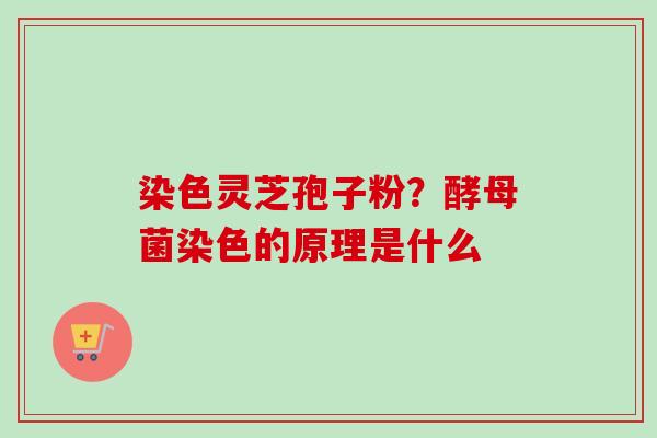 染色灵芝孢子粉?酵母菌染色的原理是什么-第1张图片-卓越灵芝孢子粉 染色灵芝孢子粉?酵母菌染色的原理是什么-第1张图片-卓越灵芝孢子粉