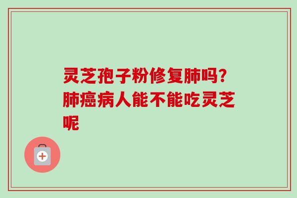 灵芝孢子粉修复肺吗?肺癌病人能不能吃灵芝呢-第1张图片-卓越灵芝孢子粉 灵芝孢子粉修复肺吗?肺癌病人能不能吃灵芝呢-第1张图片-卓越灵芝孢子粉