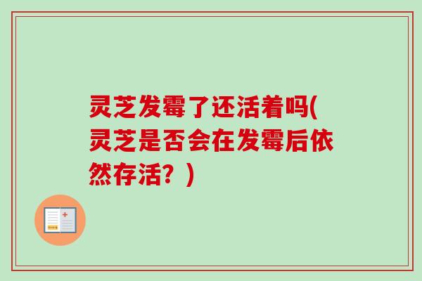 灵芝发霉了还活着吗(灵芝是否会在发霉后依然存活?)-第1张图片-卓越灵芝孢子粉 灵芝发霉了还活着吗(灵芝是否会在发霉后依然存活?)-第1张图片-卓越灵芝孢子粉