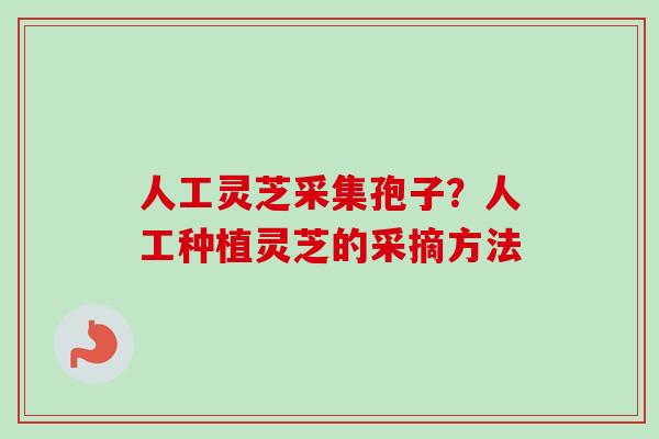 人工灵芝采集孢子?人工种植灵芝的采摘方法-第1张图片-卓越灵芝孢子粉 人工灵芝采集孢子?人工种植灵芝的采摘方法-第1张图片-卓越灵芝孢子粉