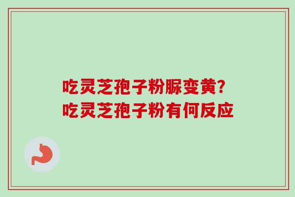 吃灵芝孢子粉脲变黄?吃灵芝孢子粉有何反应-第1张图片-卓越灵芝孢子粉 吃灵芝孢子粉脲变黄?吃灵芝孢子粉有何反应-第1张图片-卓越灵芝孢子粉