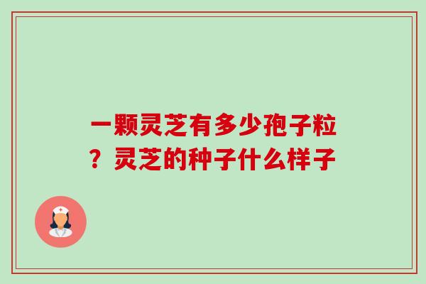 一颗灵芝有多少孢子粒?灵芝的种子什么样子-第1张图片-卓越灵芝孢子粉 一颗灵芝有多少孢子粒?灵芝的种子什么样子-第1张图片-卓越灵芝孢子粉