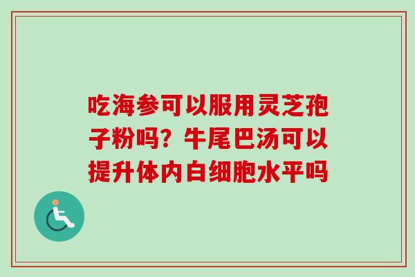 吃海参可以服用灵芝孢子粉吗?牛尾巴汤可以提升体内白细胞水平吗-第1张图片-卓越灵芝孢子粉 吃海参可以服用灵芝孢子粉吗?牛尾巴汤可以提升体内白细胞水平吗-第1张图片-卓越灵芝孢子粉