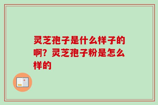 灵芝孢子是什么样子的啊?灵芝孢子粉是怎么样的-第1张图片-卓越灵芝孢子粉 灵芝孢子是什么样子的啊?灵芝孢子粉是怎么样的-第1张图片-卓越灵芝孢子粉