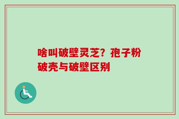 啥叫破壁灵芝？孢子粉破壳与破壁区别-第1张图片-卓越灵芝孢子粉