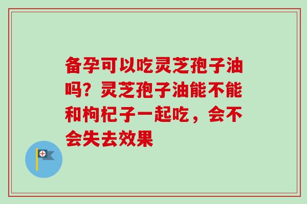备孕可以吃灵芝孢子油吗？灵芝孢子油能不能和枸杞子一起吃，会不会失去效果-第1张图片-卓越灵芝孢子粉