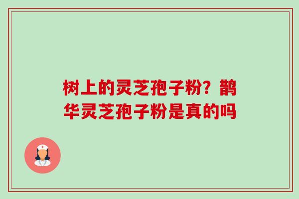 树上的灵芝孢子粉？鹊华灵芝孢子粉是真的吗-第1张图片-卓越灵芝孢子粉