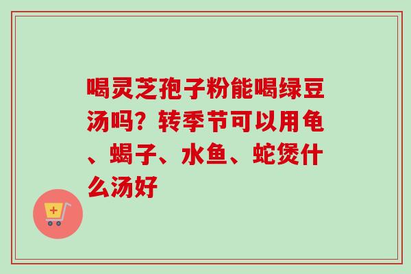 喝灵芝孢子粉能喝绿豆汤吗？转季节可以用龟、蝎子、水鱼、蛇煲什么汤好-第1张图片-卓越灵芝孢子粉