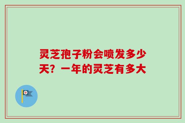 灵芝孢子粉会喷发多少天？一年的灵芝有多大-第1张图片-卓越灵芝孢子粉