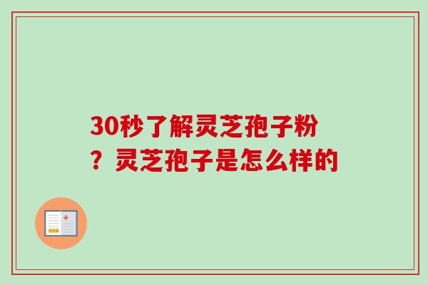 30秒了解灵芝孢子粉？灵芝孢子是怎么样的-第1张图片-卓越灵芝孢子粉
