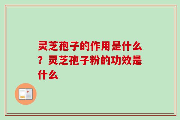 灵芝孢子的作用是什么？灵芝孢子粉的功效是什么-第1张图片-卓越灵芝孢子粉