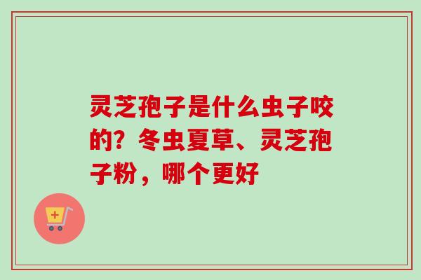 灵芝孢子是什么虫子咬的？冬虫夏草、灵芝孢子粉，哪个更好-第1张图片-卓越灵芝孢子粉