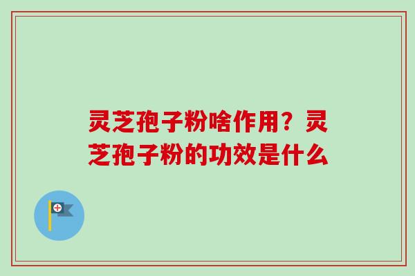 灵芝孢子粉啥作用？灵芝孢子粉的功效是什么-第1张图片-卓越灵芝孢子粉