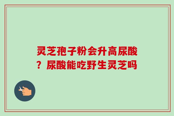 灵芝孢子粉会升高尿酸?尿酸能吃野生灵芝吗-第1张图片-卓越灵芝孢子粉 灵芝孢子粉会升高尿酸?尿酸能吃野生灵芝吗-第1张图片-卓越灵芝孢子粉