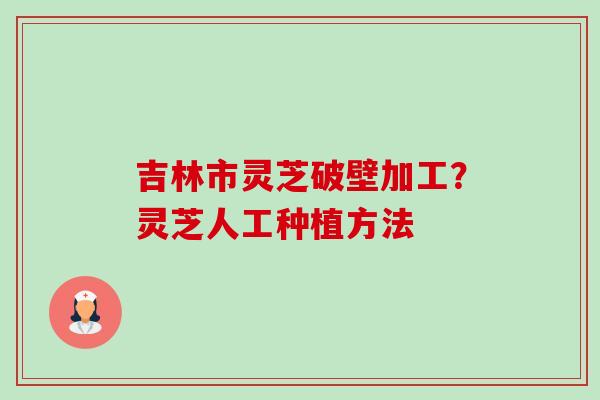 吉林市灵芝破壁加工？灵芝人工种植方法-第1张图片-卓越灵芝孢子粉