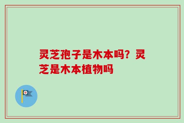 灵芝孢子是木本吗？灵芝是木本植物吗-第1张图片-卓越灵芝孢子粉