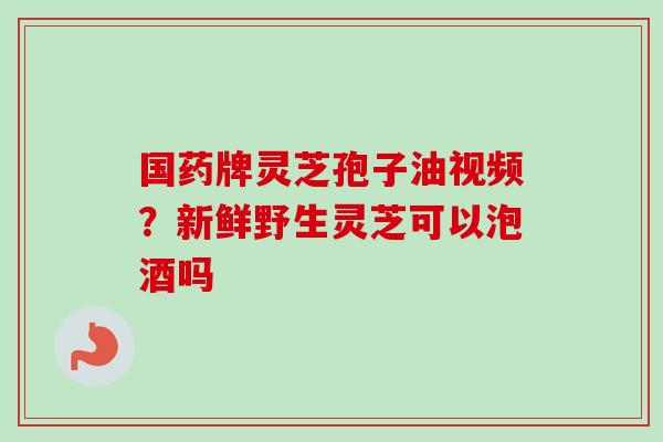国药牌灵芝孢子油视频?新鲜野生灵芝可以泡酒吗-第1张图片-卓越灵芝孢子粉 国药牌灵芝孢子油视频?新鲜野生灵芝可以泡酒吗-第1张图片-卓越灵芝孢子粉
