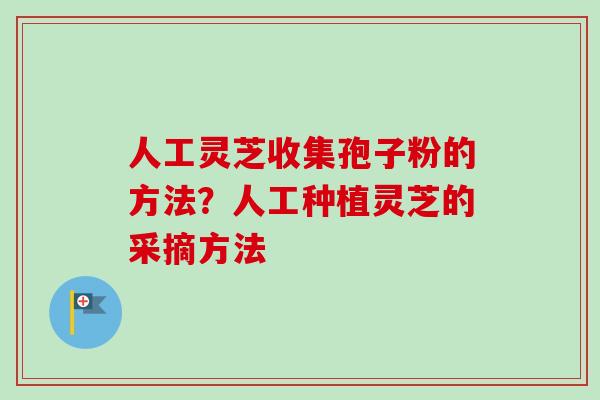 人工灵芝收集孢子粉的方法？人工种植灵芝的采摘方法-第1张图片-卓越灵芝孢子粉