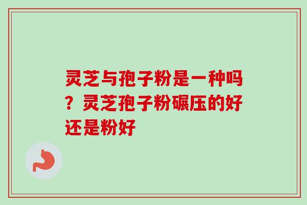 灵芝与孢子粉是一种吗？灵芝孢子粉碾压的好还是粉好-第1张图片-卓越灵芝孢子粉