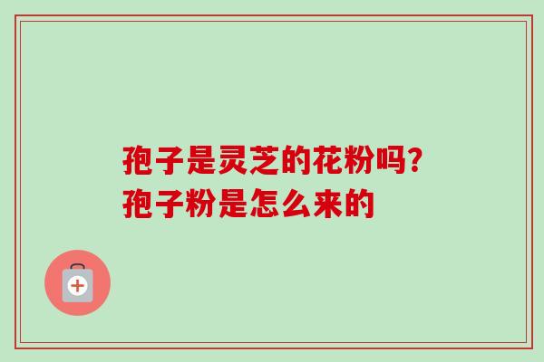 孢子是灵芝的花粉吗?孢子粉是怎么来的-第1张图片-卓越灵芝孢子粉 孢子是灵芝的花粉吗?孢子粉是怎么来的-第1张图片-卓越灵芝孢子粉