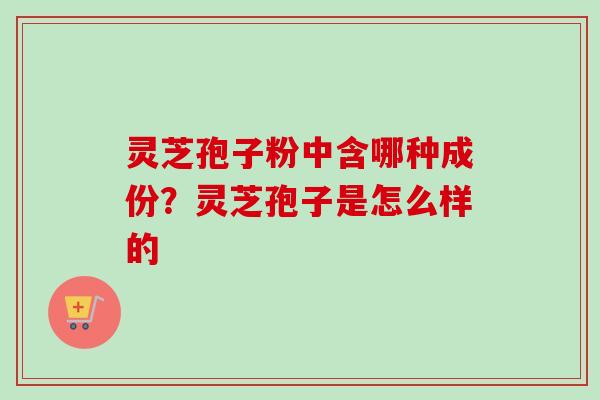 灵芝孢子粉中含哪种成份？灵芝孢子是怎么样的-第1张图片-卓越灵芝孢子粉