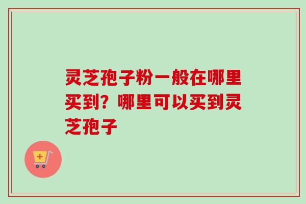 灵芝孢子粉一般在哪里买到？哪里可以买到灵芝孢子-第1张图片-卓越灵芝孢子粉