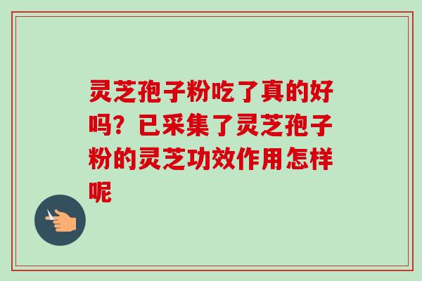 灵芝孢子粉吃了真的好吗?已采集了灵芝孢子粉的灵芝功效作用怎样呢-第1张图片-卓越灵芝孢子粉 灵芝孢子粉吃了真的好吗?已采集了灵芝孢子粉的灵芝功效作用怎样呢-第1张图片-卓越灵芝孢子粉