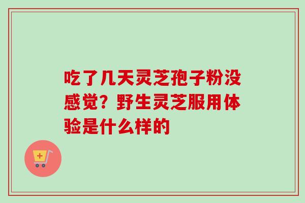 吃了几天灵芝孢子粉没感觉?野生灵芝服用体验是什么样的-第1张图片-卓越灵芝孢子粉 吃了几天灵芝孢子粉没感觉?野生灵芝服用体验是什么样的-第1张图片-卓越灵芝孢子粉
