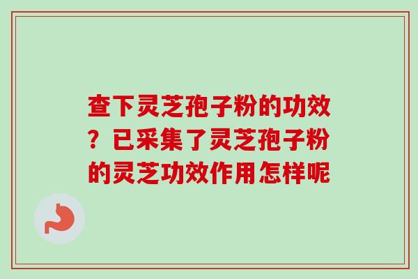 查下灵芝孢子粉的功效？已采集了灵芝孢子粉的灵芝功效作用怎样呢-第1张图片-卓越灵芝孢子粉