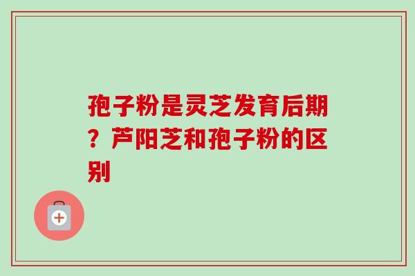 孢子粉是灵芝发育后期？芦阳芝和孢子粉的区别-第1张图片-卓越灵芝孢子粉