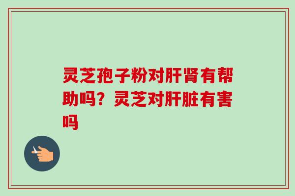 灵芝孢子粉对肝肾有帮助吗?灵芝对肝脏有害吗-第1张图片-卓越灵芝孢子粉 灵芝孢子粉对肝肾有帮助吗?灵芝对肝脏有害吗-第1张图片-卓越灵芝孢子粉