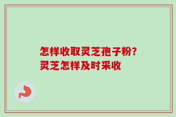 怎样收取灵芝孢子粉?灵芝怎样及时采收-第1张图片-卓越灵芝孢子粉 怎样收取灵芝孢子粉?灵芝怎样及时采收-第1张图片-卓越灵芝孢子粉