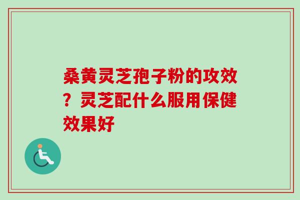 桑黄灵芝孢子粉的攻效？灵芝配什么服用保健效果好-第1张图片-卓越灵芝孢子粉