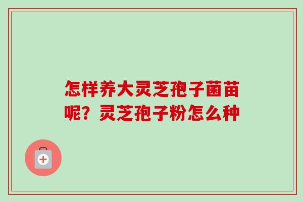 怎样养大灵芝孢子菌苗呢?灵芝孢子粉怎么种-第1张图片-卓越灵芝孢子粉 怎样养大灵芝孢子菌苗呢?灵芝孢子粉怎么种-第1张图片-卓越灵芝孢子粉